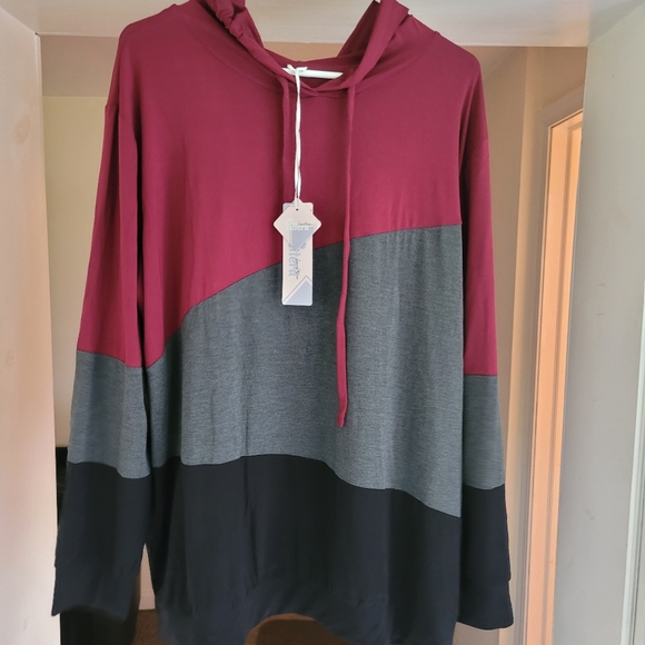 Hoodie Long Sleeve (Light) - Picture 1 of 4